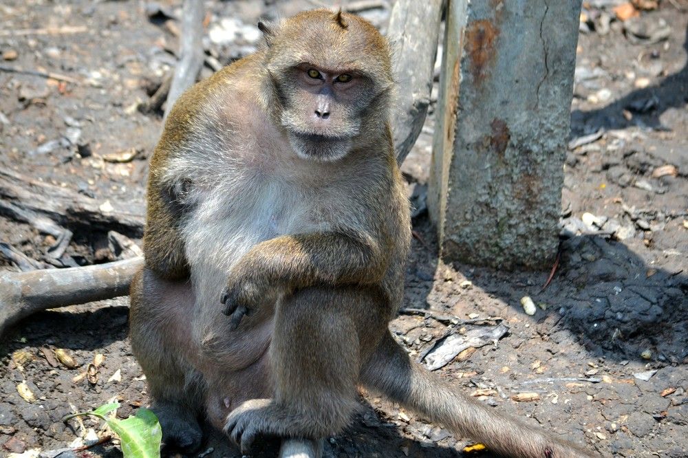 Фотография автора Наталья Владимировна