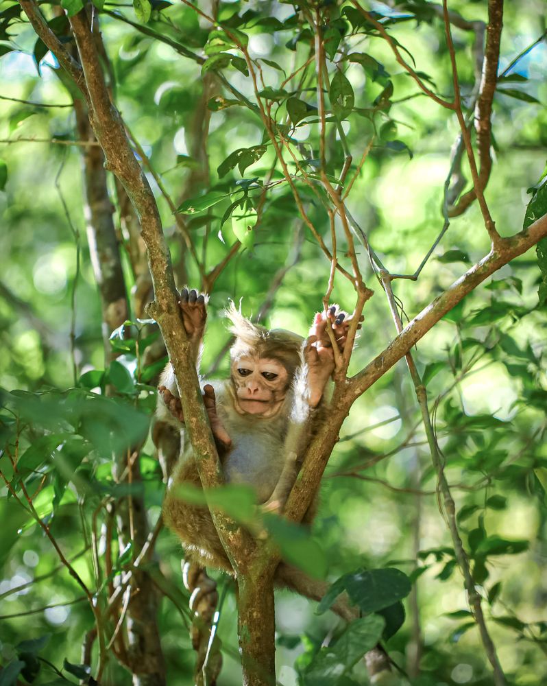 Photograph by Mewan Hemsara