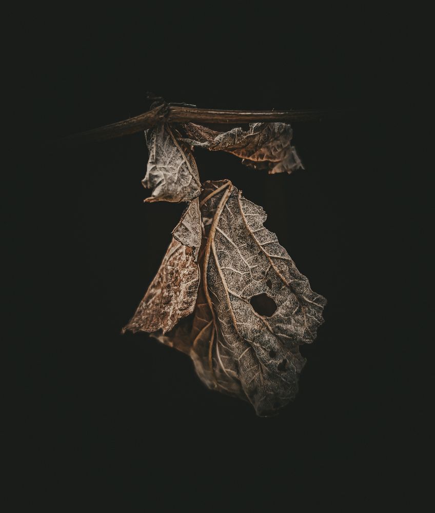 Photograph by Александра Петрова