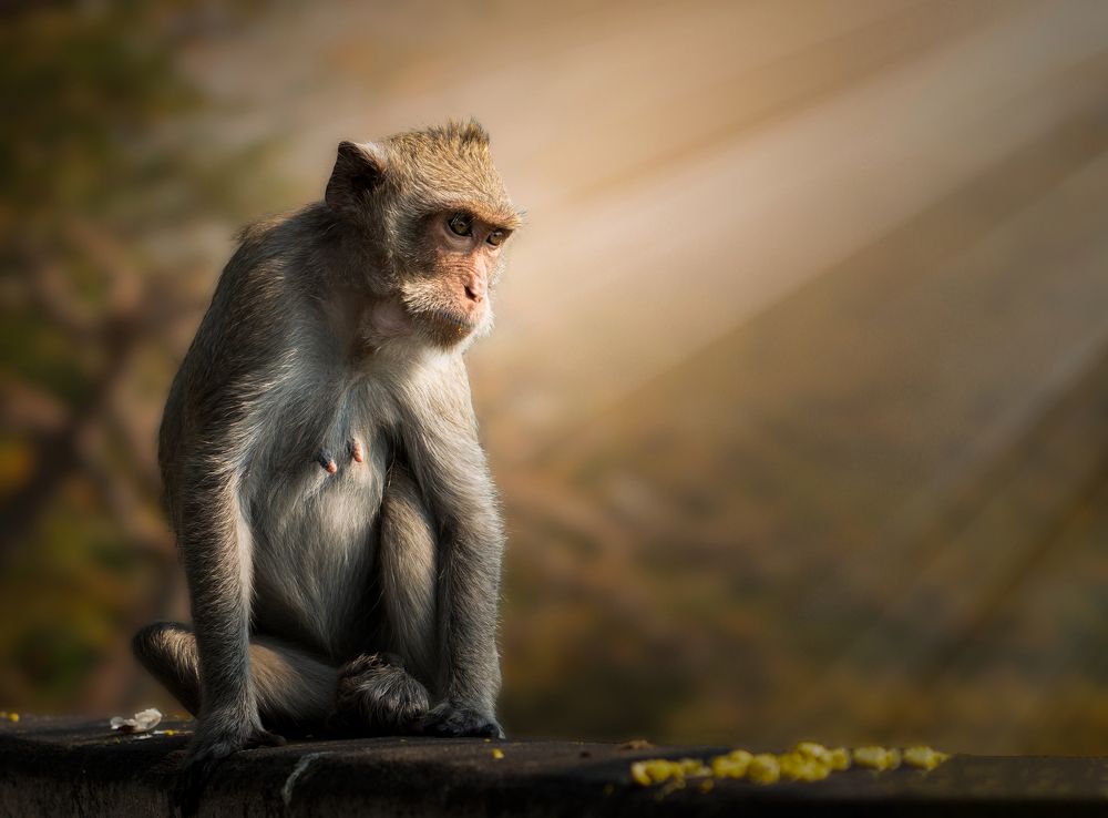 Photograph by Jean pierre