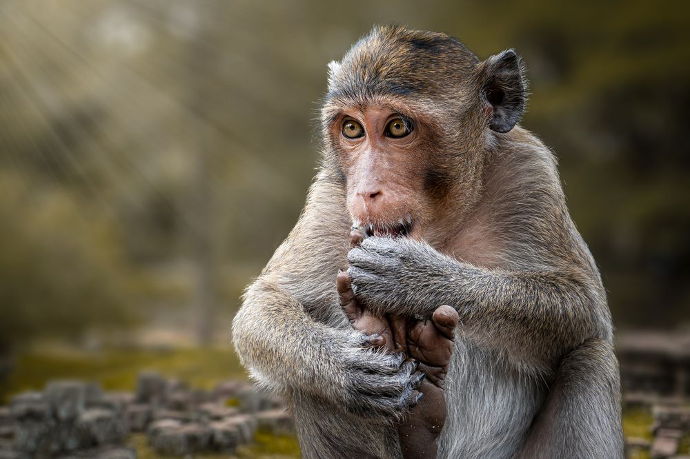 Photograph by Jean pierre