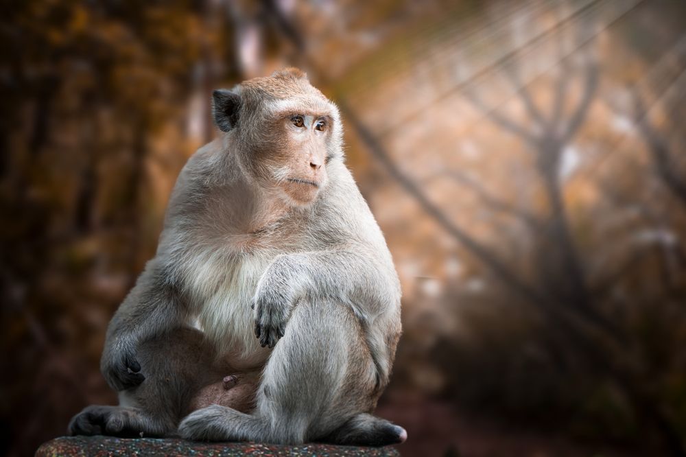 Photograph by Jean pierre