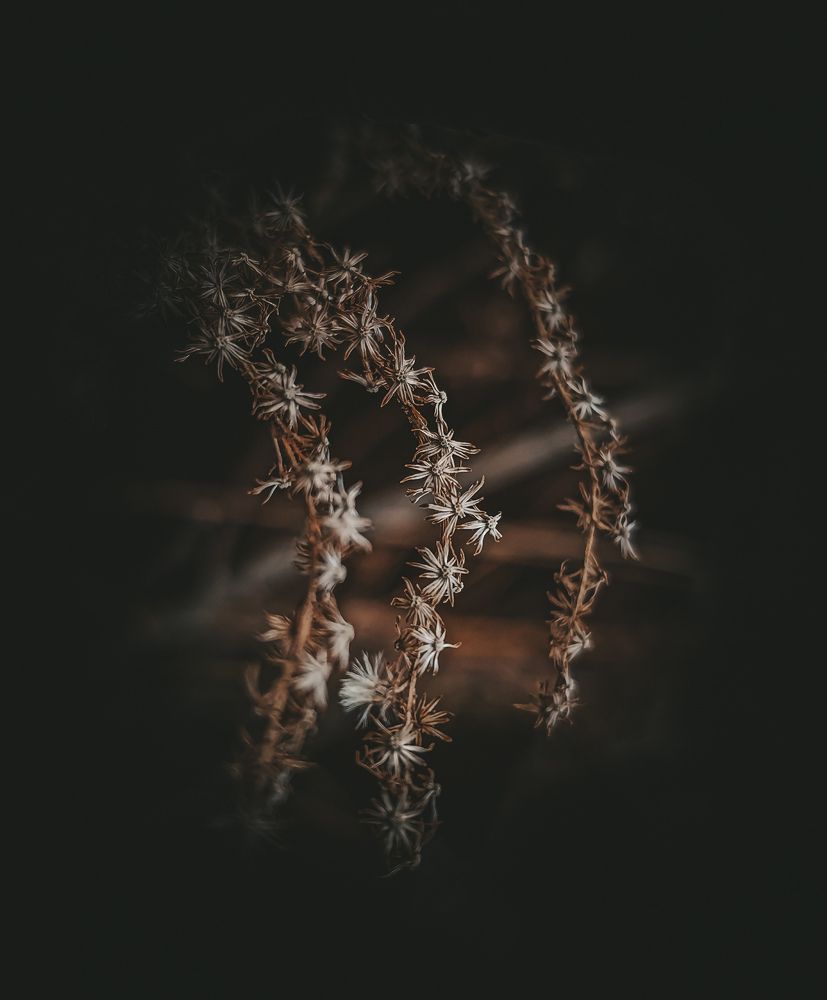 Photograph by Александра Петрова