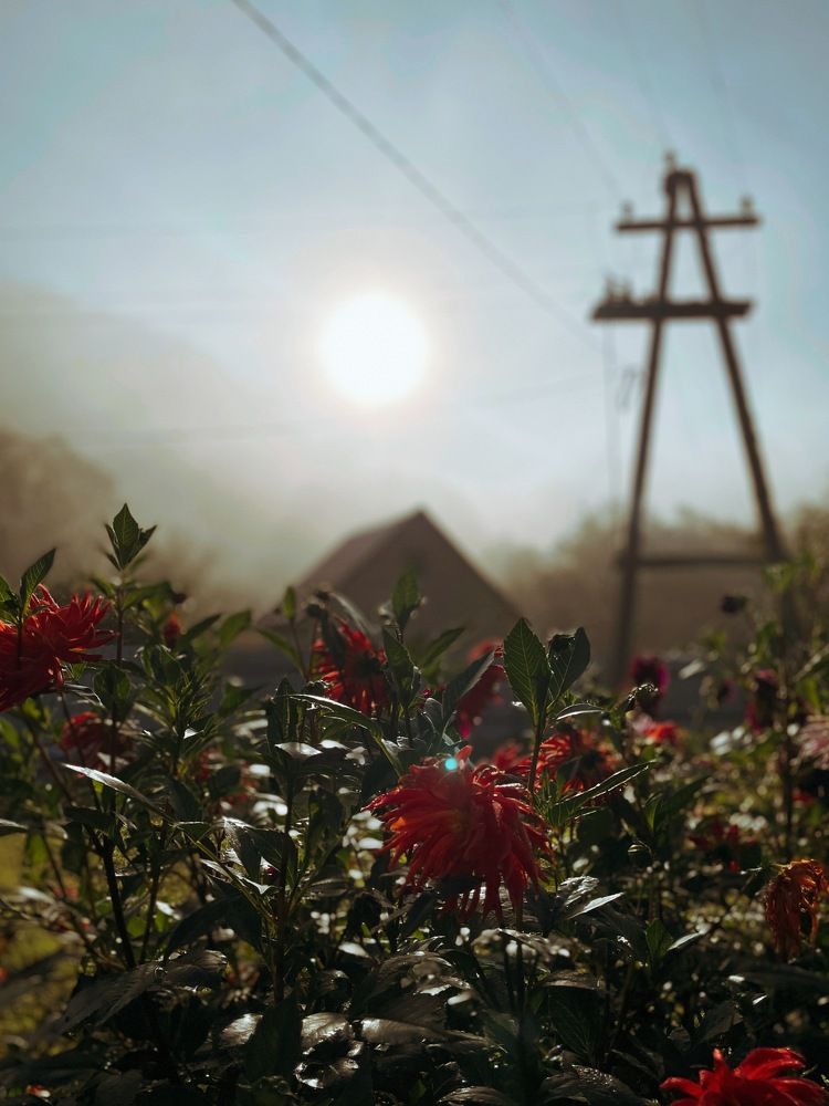 Photograph by Ekaterina Yacina