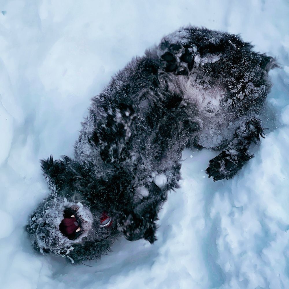 Photograph by Ekaterina Yacina