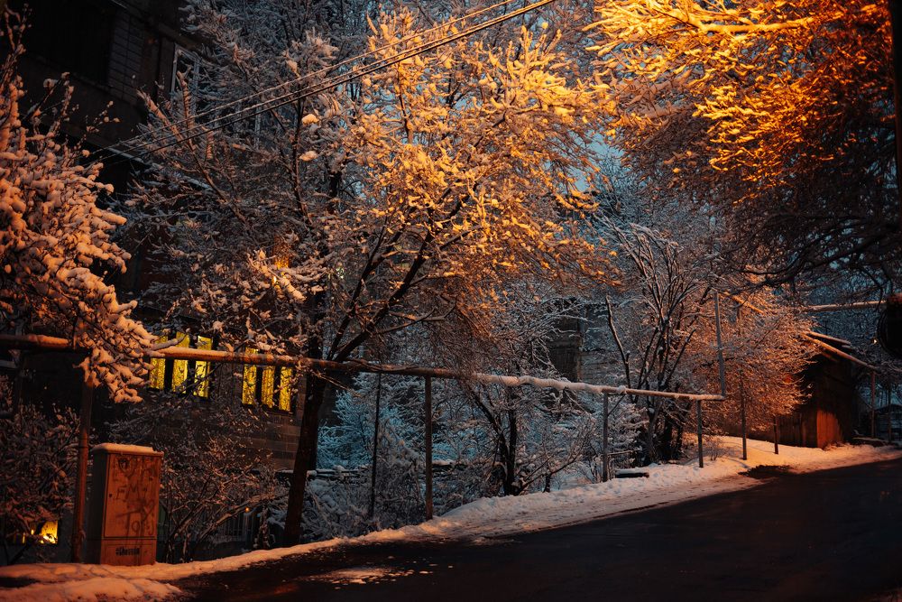 Photograph by Viktoriia Shin