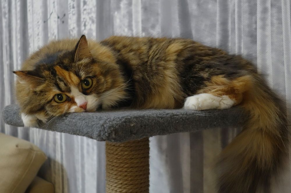 Photograph by Сергей Гребенников