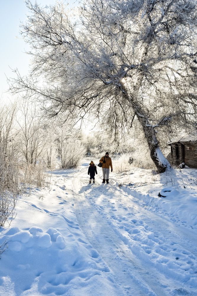 Photograph by Мария Негреева