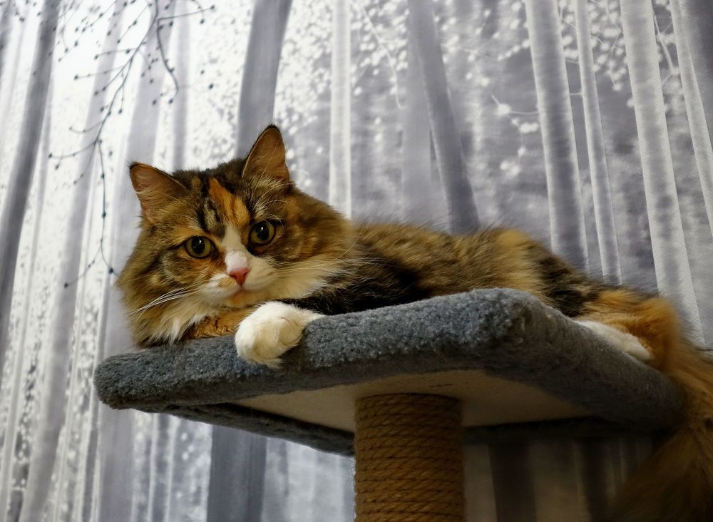 Photograph by Сергей Гребенников