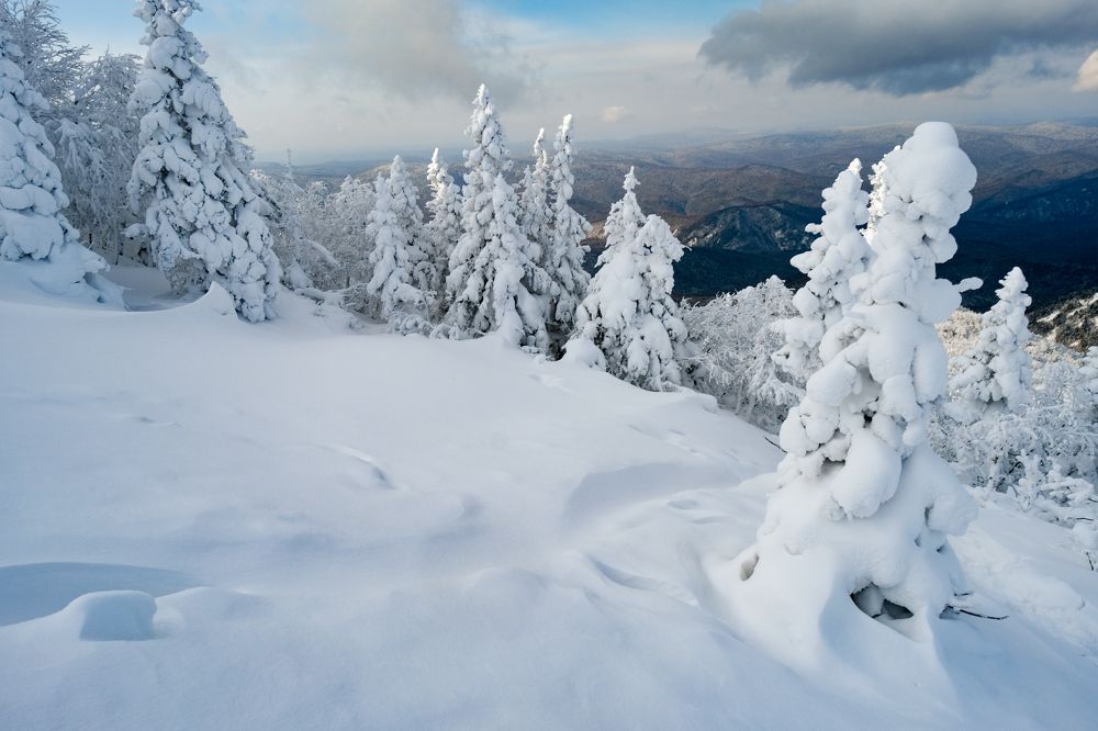 Photograph by Роман Смолко