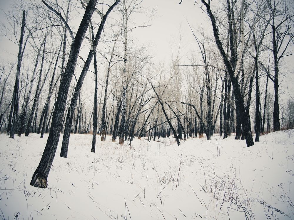 Photograph by Юрий