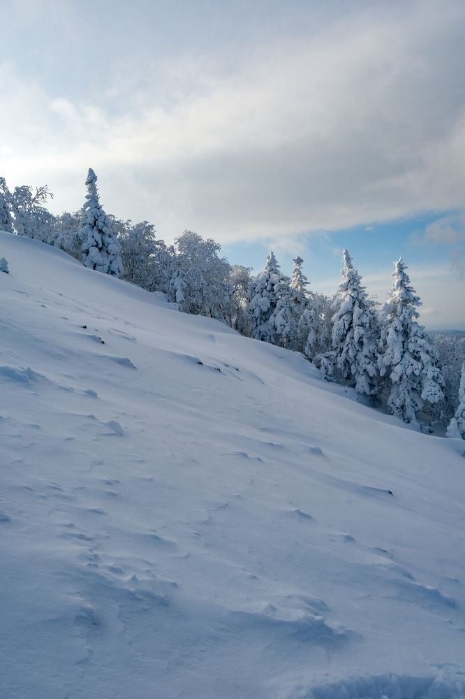 Photograph by Роман Смолко