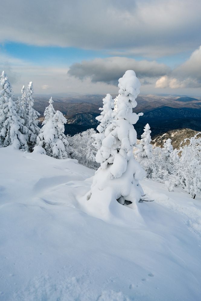 Photograph by Роман Смолко