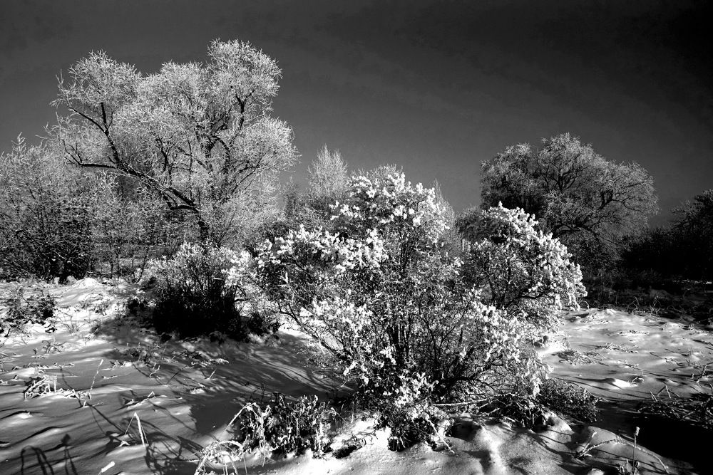 Photograph by ВАСИЛИЙ