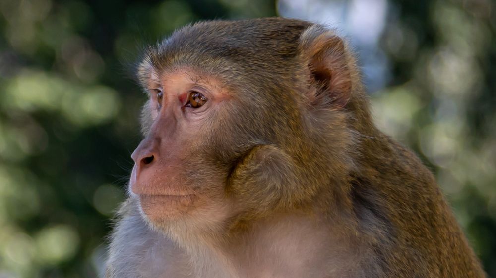 Photograph by Farrukh Sidddiqi