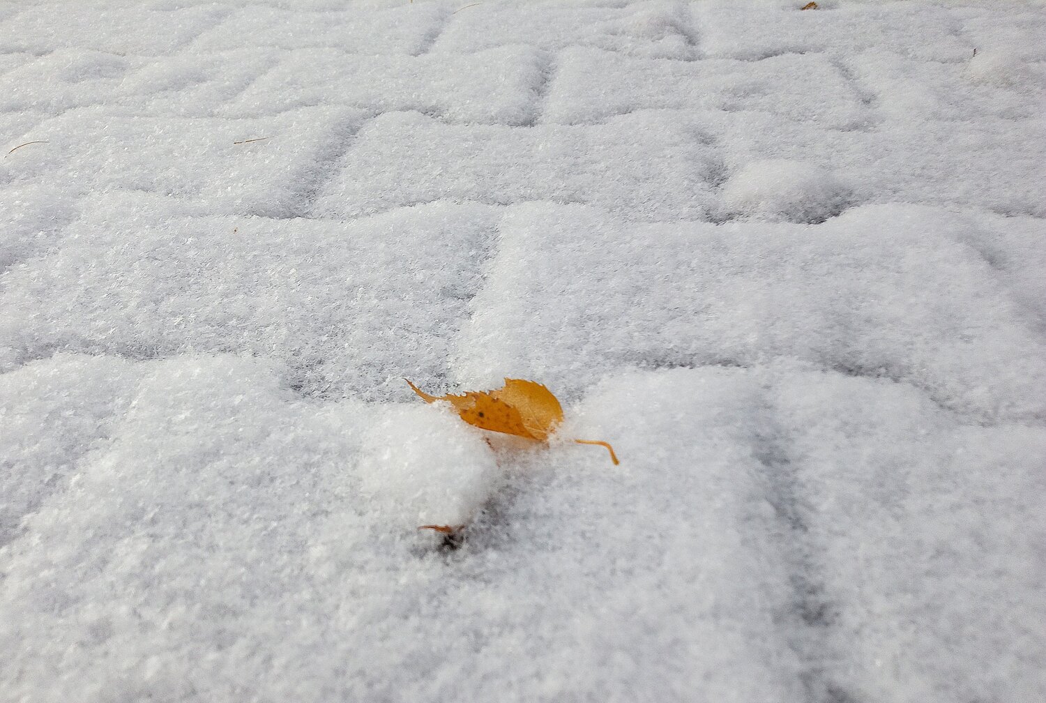 Photo #11722978