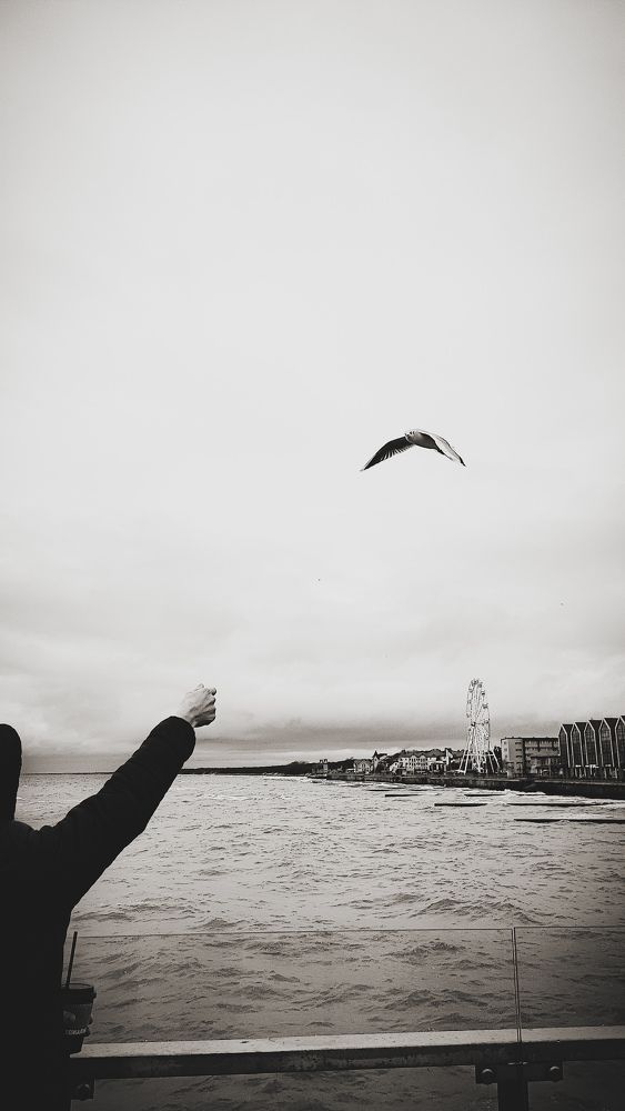 Фотография автора Андрей