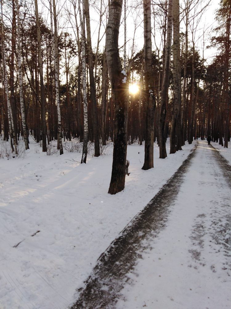Photograph by Надежда Яковлева