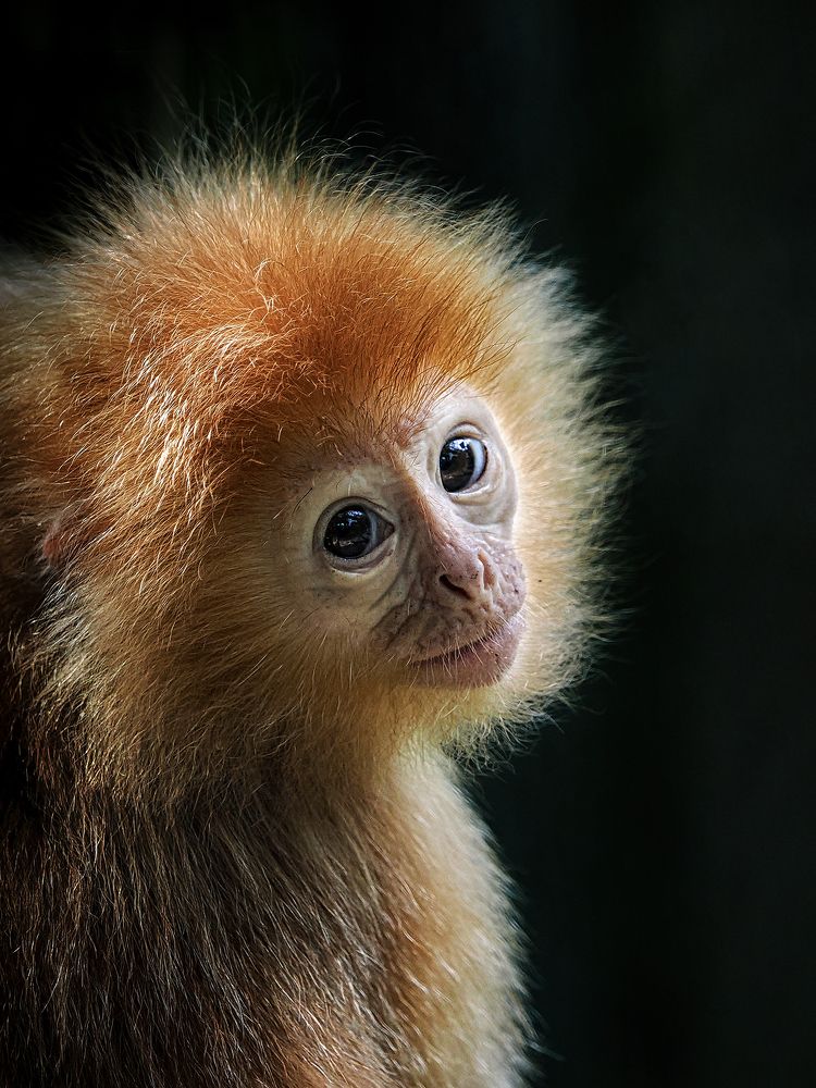 Photograph by Lugyanti Sukrisman