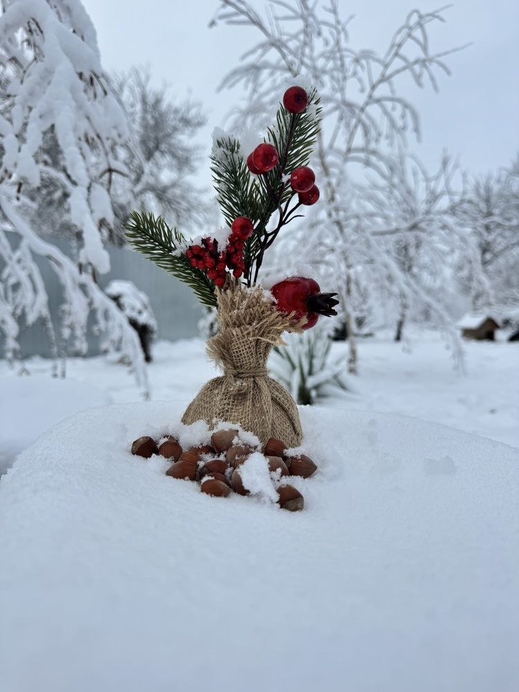 Photograph by Бойкова Наталия