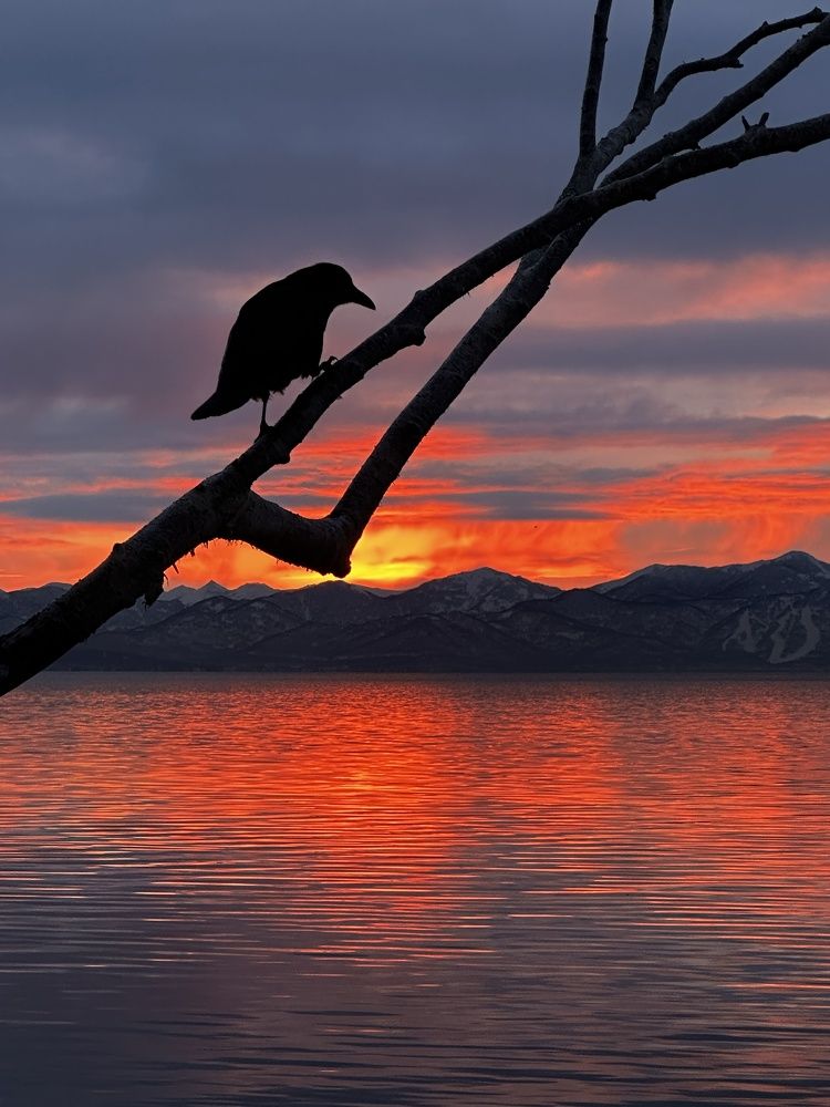 Ночной дозор