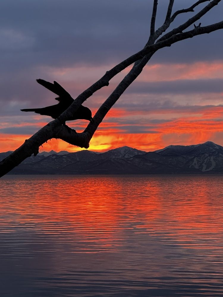 Photograph by Сергей Чихарев