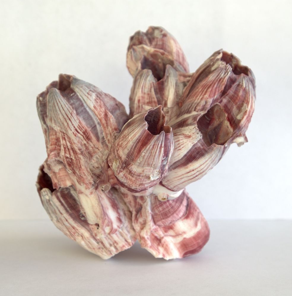 Photograph by Михаил Король