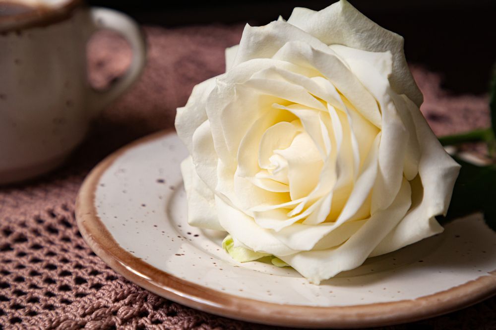 Photograph by Наталья Кириченко