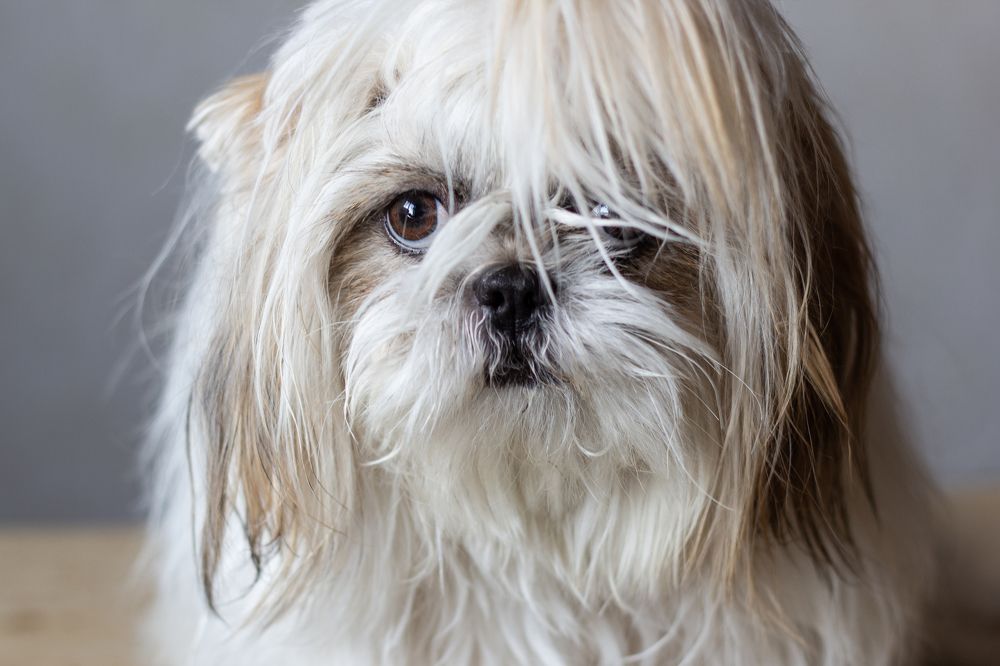 Photograph by Евгения