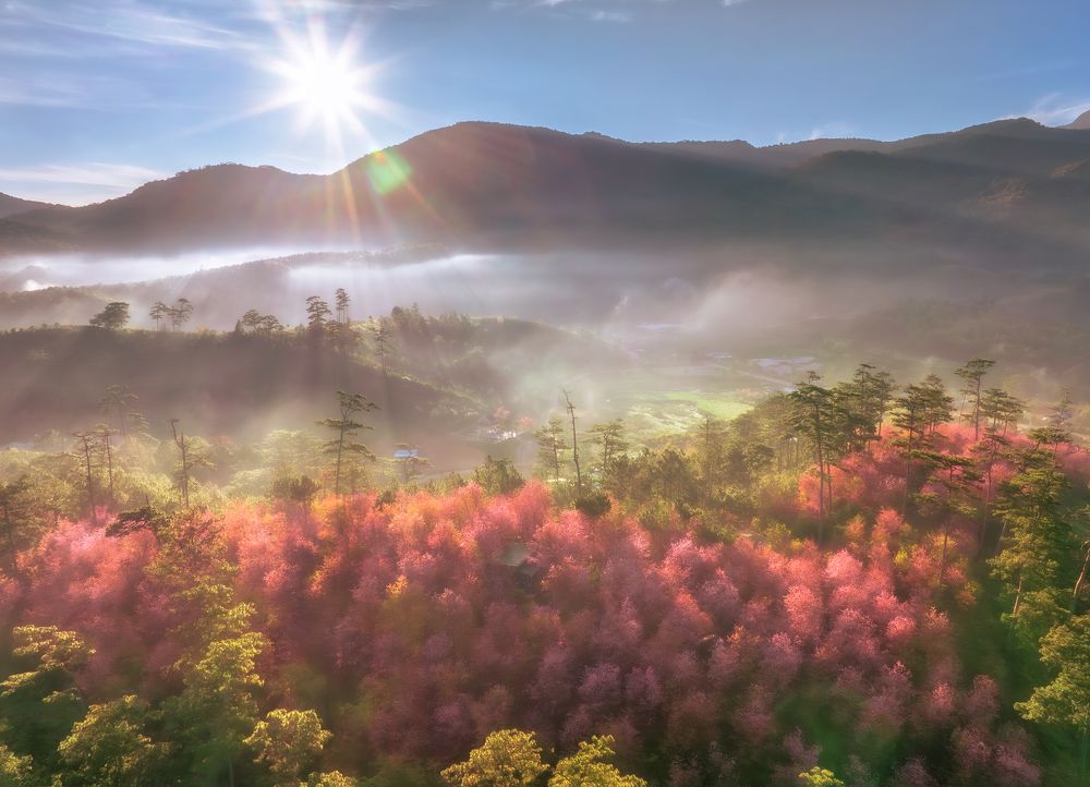 Photograph by Tran Phuong