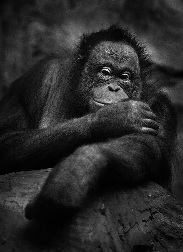 Photograph by Алексей Родак