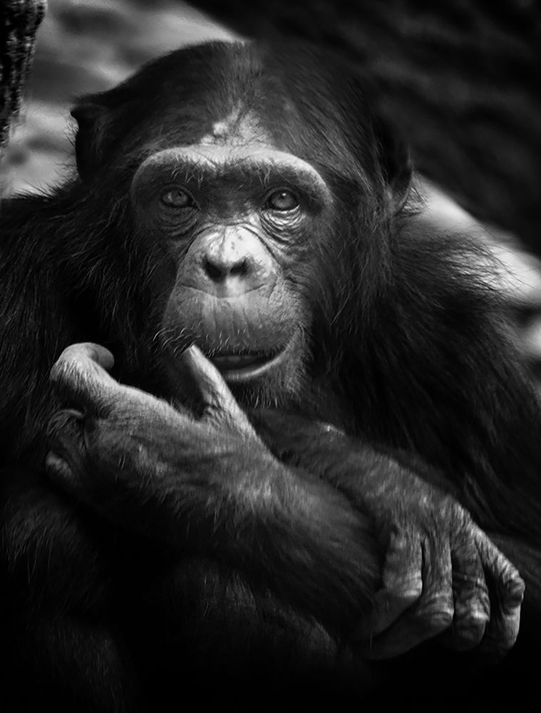 Photograph by Алексей Родак