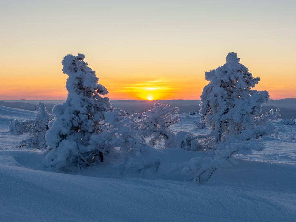 Photograph by Anna Levina