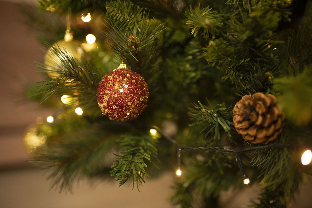 Photograph by Lera Sayapina