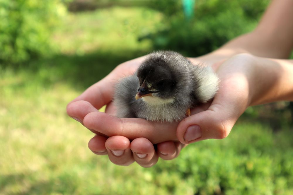 Photograph by Евгения