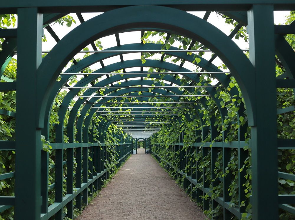 Photograph by Геннадий Капунов