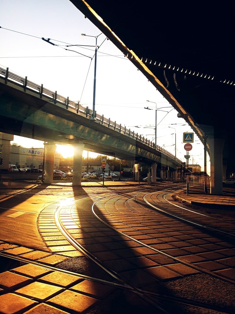 Photo #11723326