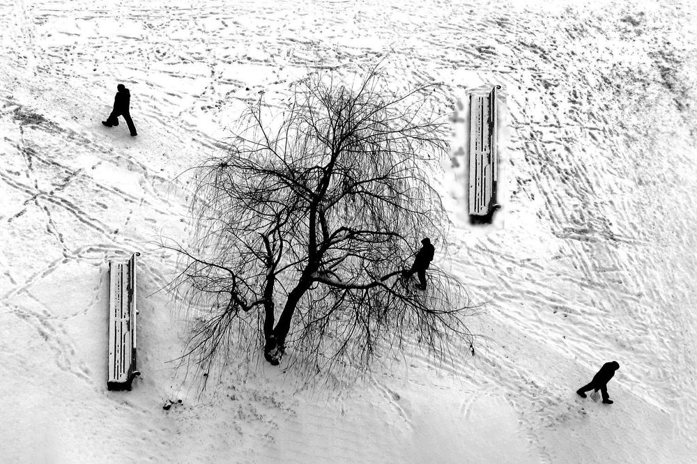 Фотография автора Графов Борис