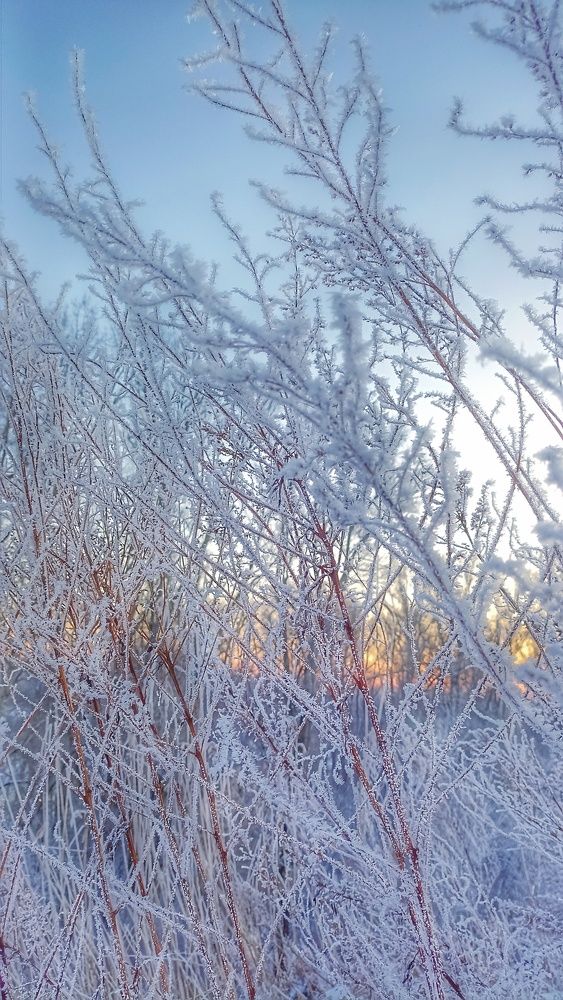 Photograph by Олеся Лосыгина