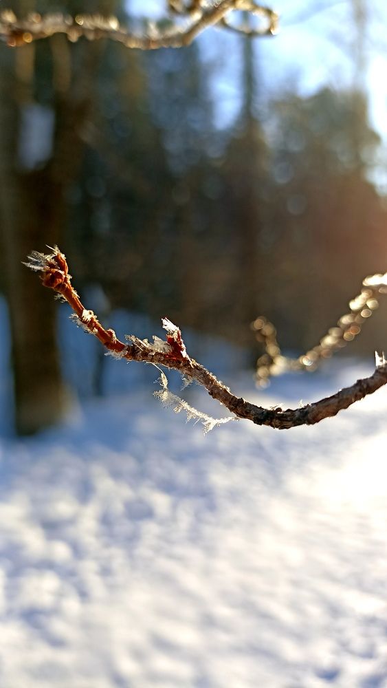 Photograph by Олеся Лосыгина