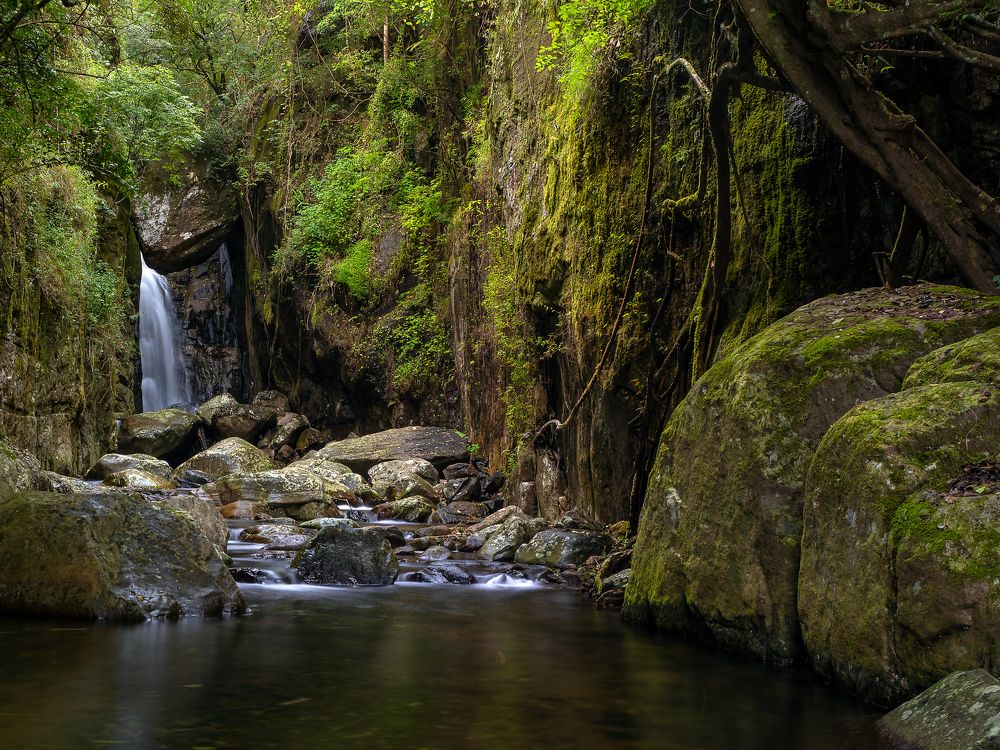 Photograph by Henk Goossens