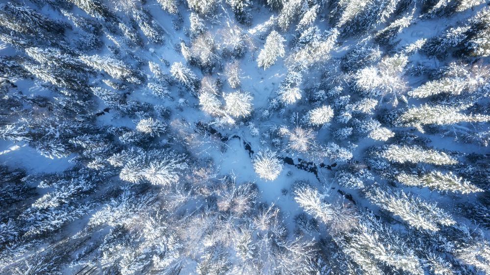 Photograph by 李长丰