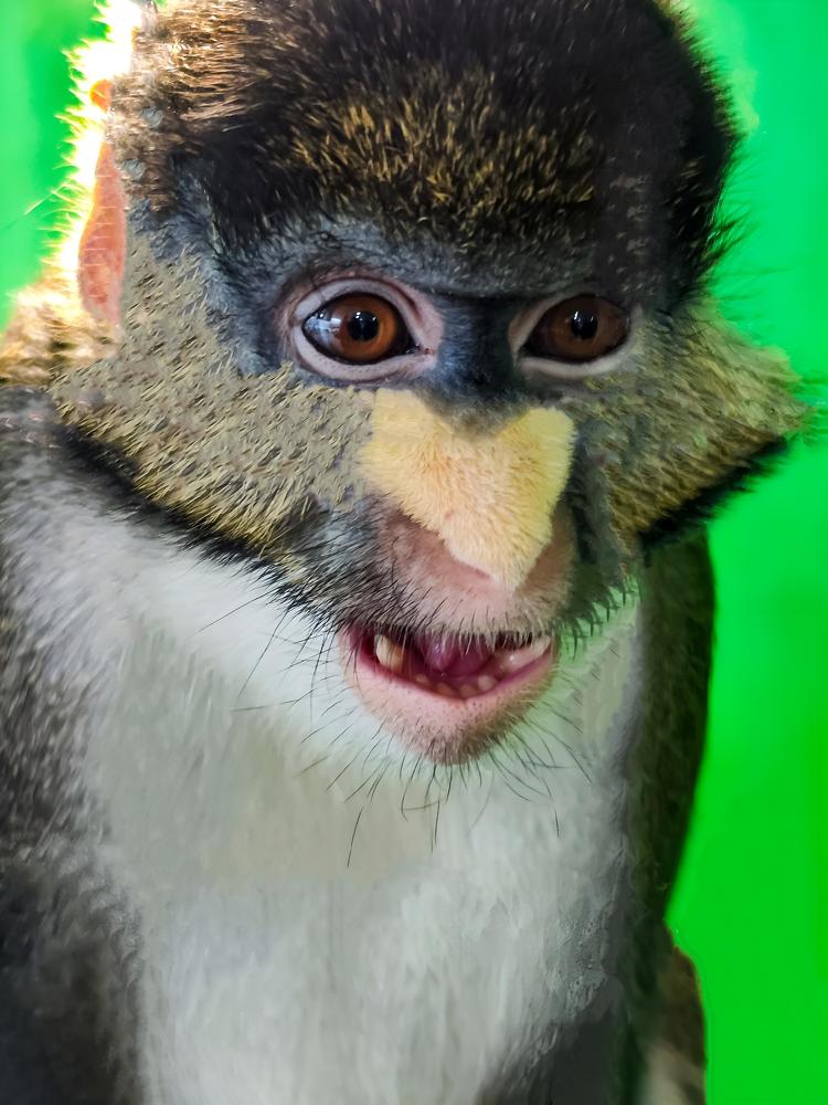 Photograph by Ирина Шибитова