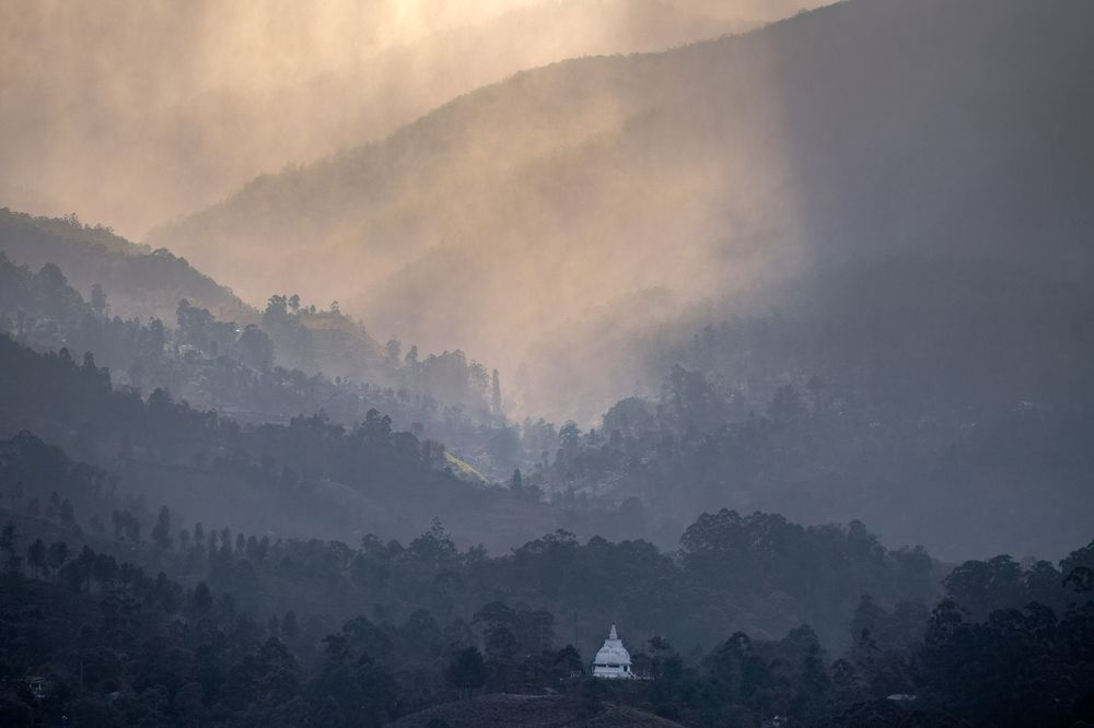 Photograph by Henk Goossens