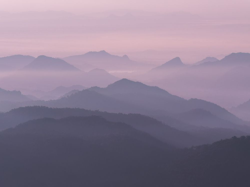 Photograph by Henk Goossens