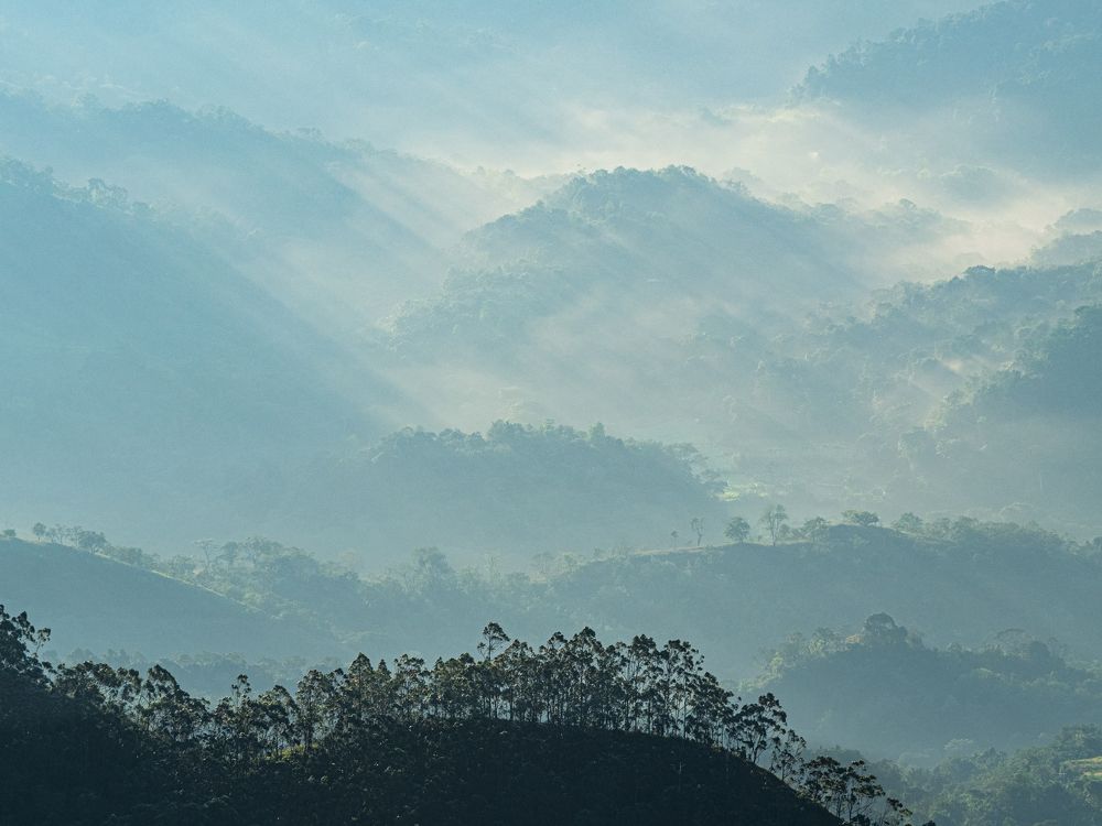 Photograph by Henk Goossens