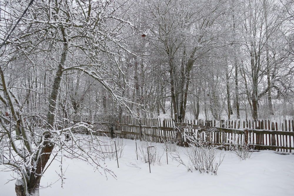 Photograph by Anastasia Perez