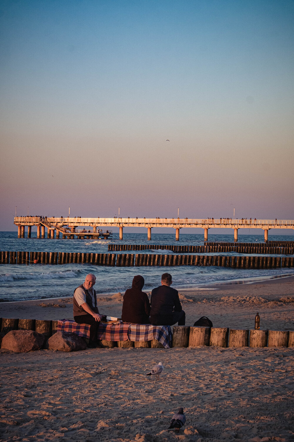 Photo #11723466