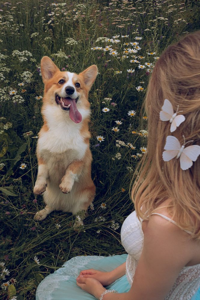 Photograph by Елена Коновалова