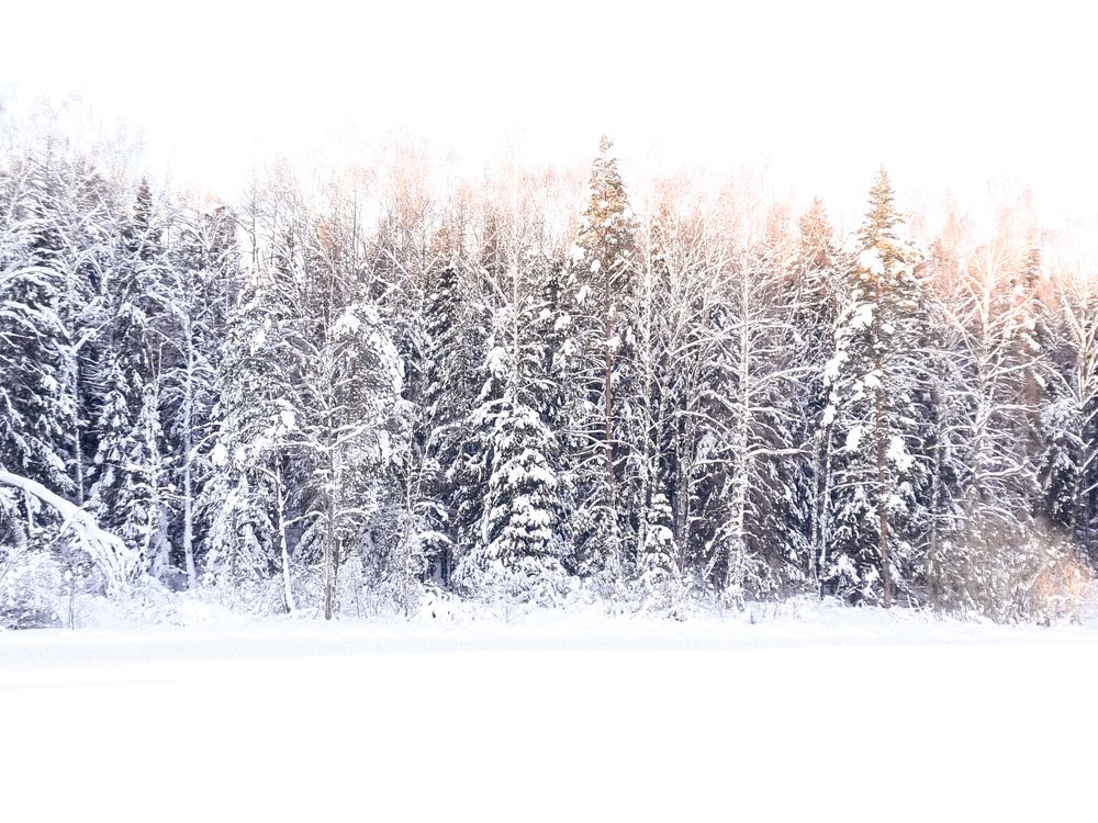 Photograph by Maria Volnova